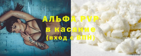 гидра Анива
