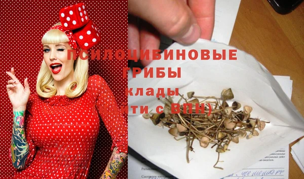 а пвп мука Медвежьегорск