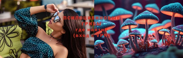 индика Медногорск